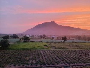 hotel divine palace pushkar