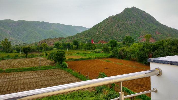 hotel divine palace pushkar