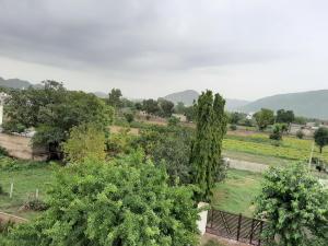 hotel divine palace pushkar