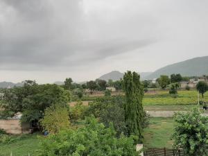 hotel divine palace pushkar