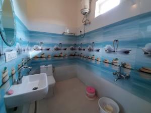 hotel divine palace pushkar
