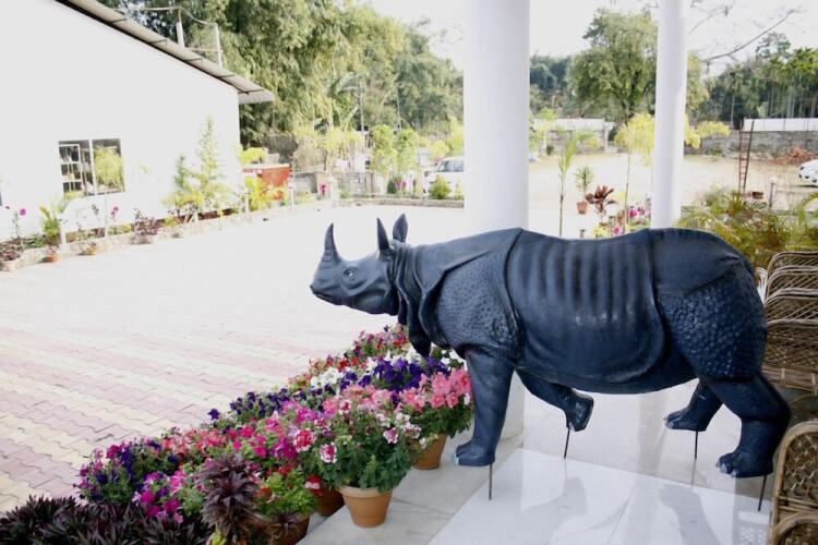 kaziranga