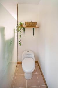 drift away eco lodge