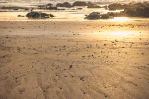 veintisiete de abril