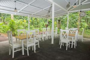 jaguar inn bungalows and hostel