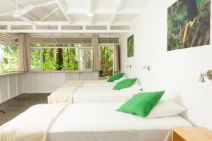jaguar inn bungalows and hostel