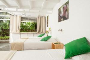 jaguar inn bungalows and hostel