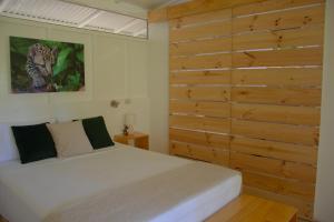 jaguar inn bungalows and hostel