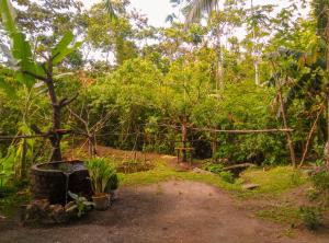 la fortuna