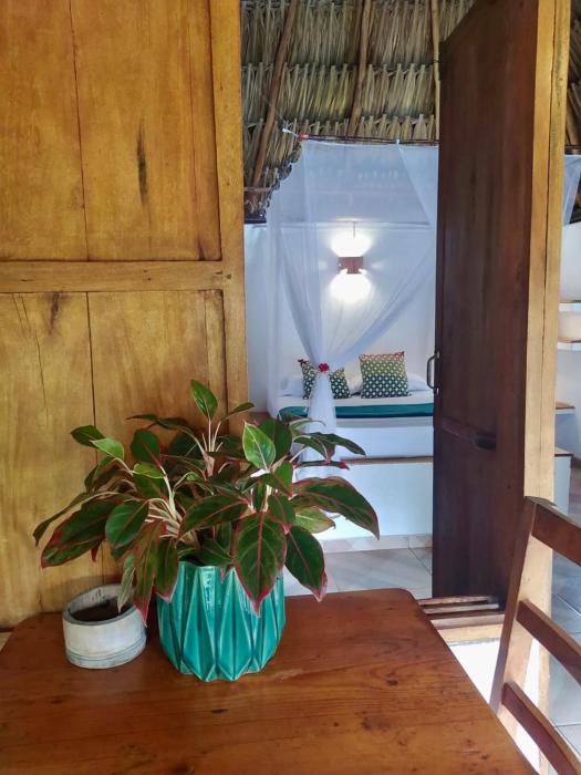 primaluna beach hostel
