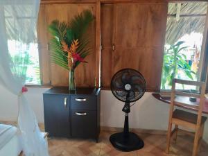 primaluna beach hostel