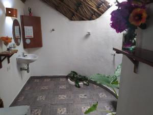 primaluna beach hostel