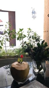 hotel casona del colegio