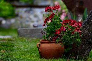 Iliikova House,Karlovo>>Kalofer,3 star