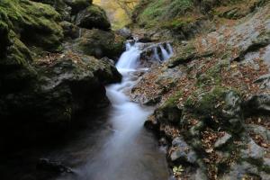 karlovo