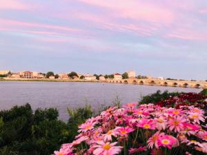 merit grand mosta spa hotel and casino