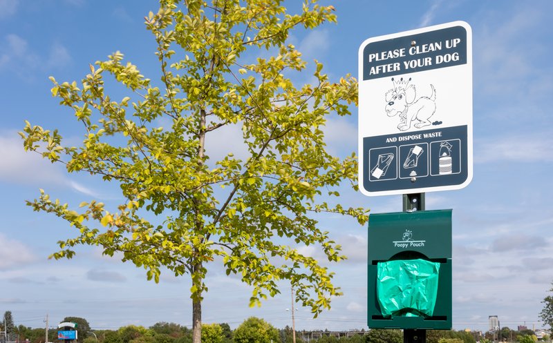 candlewood suites rochester mayo clinic area an ihg hotel