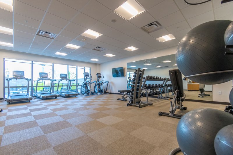 springhill suites by marriott tampa suncoast parkway