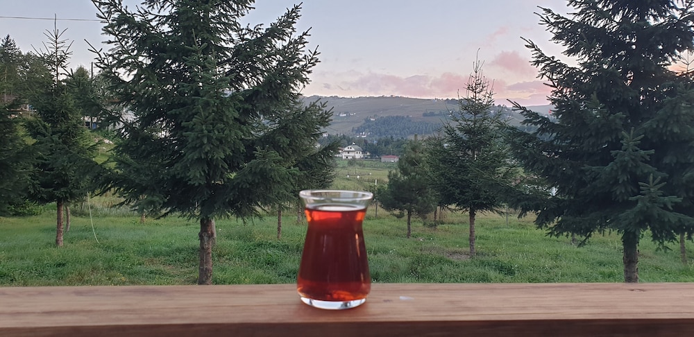 yildiz tepe otel and pansiyon