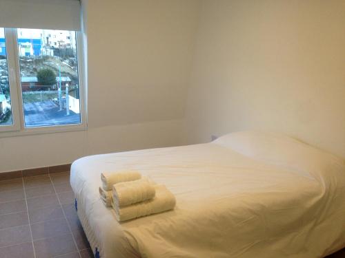 patagonia austral apartamentos