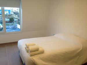 patagonia austral apartamentos