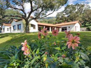 Torrontes,Salta>>Capital Department,3.5 star