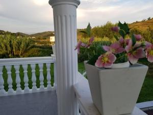 villa bianca