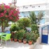 villa erdeti