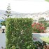 villa erdeti