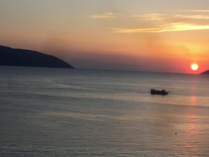 vlore