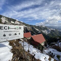 shimla