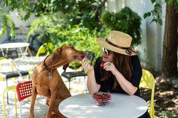 good people design hostel