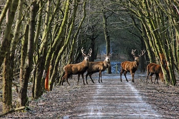 Van Der Valk Hotel Almere,Almere Stad>>Almere,5 star