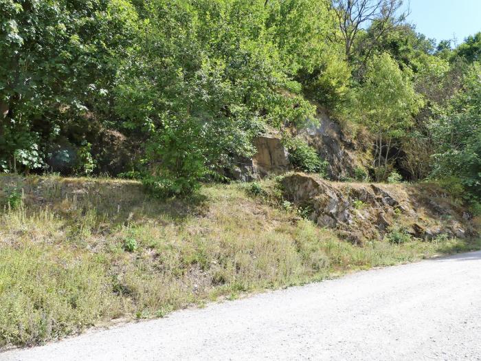 bodetaler basecamp lodge