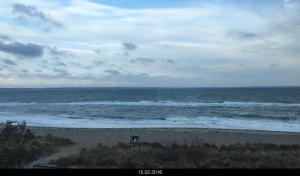 Seaside-Townhouse,Ostholstein>>Lübeck,3 star