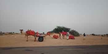 jaisalmer