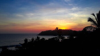 flora and fauna mirissa