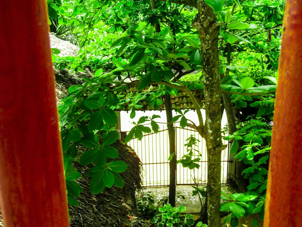 flora and fauna mirissa