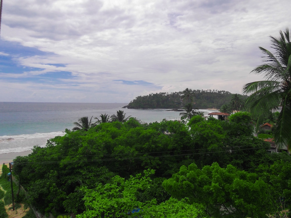 flora and fauna mirissa