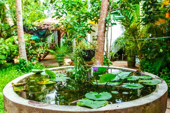 flora and fauna mirissa