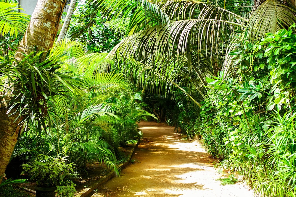 flora and fauna mirissa