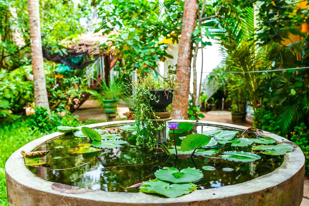 flora and fauna mirissa