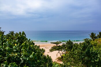 flora and fauna mirissa