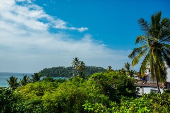 flora and fauna mirissa