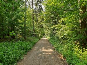 rossano hotel and ristorante