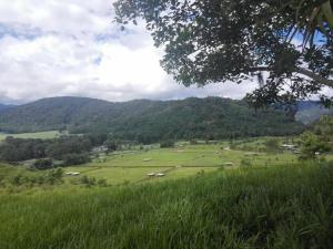 Hospedaje Luis & Ana,Orosi>>Cartago Province,2.5 star