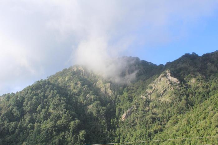 dhanaulti