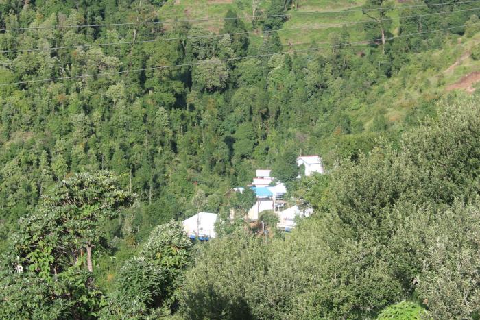 dhanaulti groove garden