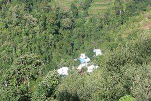 dhanaulti groove garden