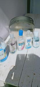 Dhanaulti Groove Garden,,1 star